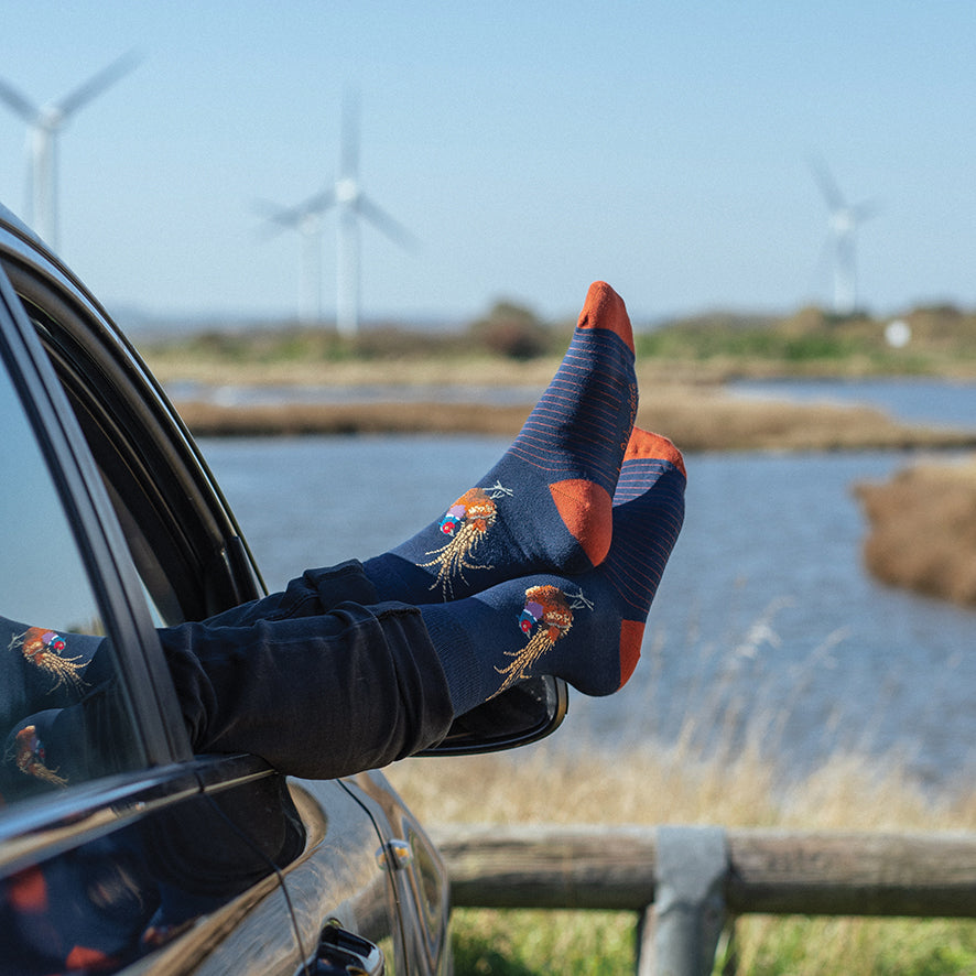 Wrendale Designs Männersocken Fasanvogel "Ready For My Close Up" Gr. 40-46