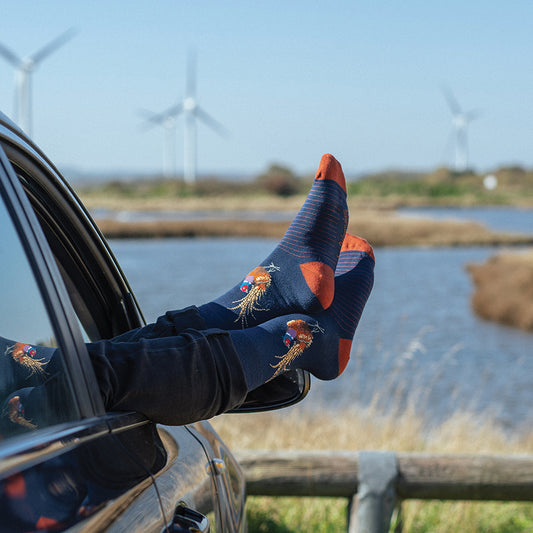 Wrendale Designs Männersocken Fasanvogel "Ready For My Close Up" Gr. 40-46