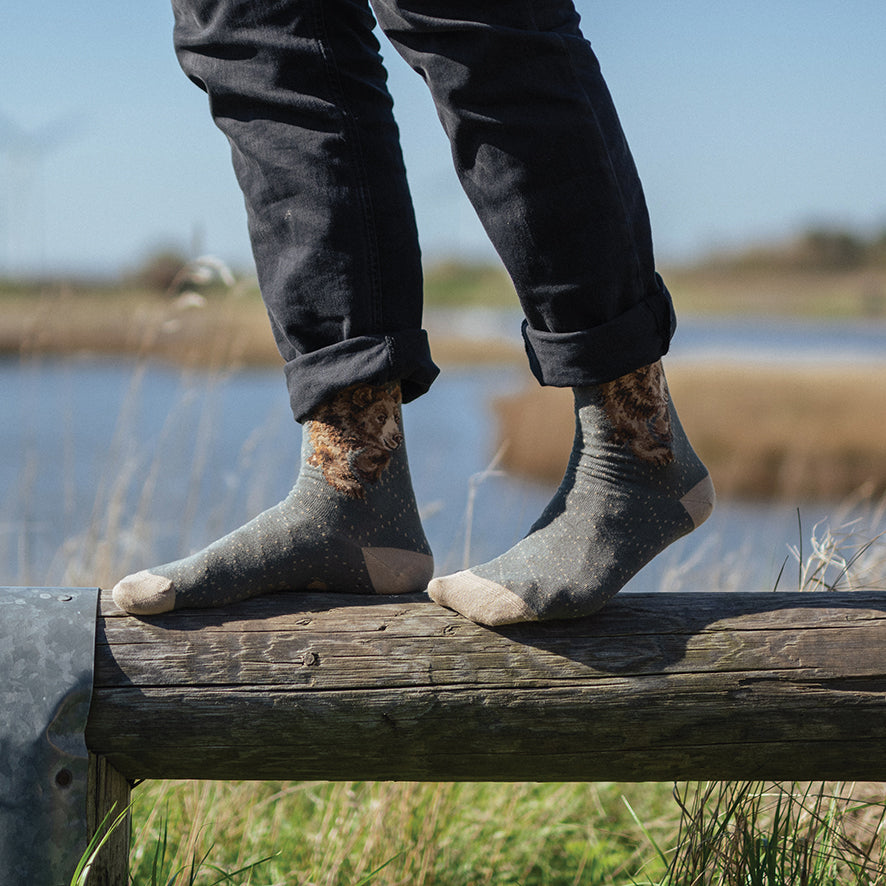 Wrendale Designs Männersocken Bär "In My Footsteps" Gr. 40-46