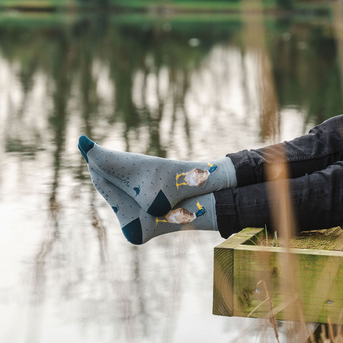 Wrendale Designs Männersocken Ente "Guard Dock" Gr. 40-46