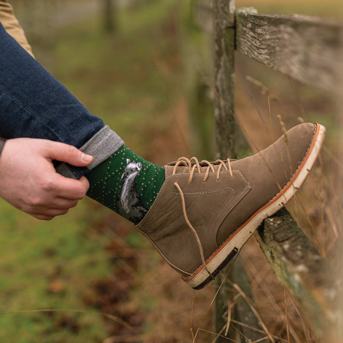 Wrendale Designs Männersocken Dachs "The Country Gent" Gr. 40-46