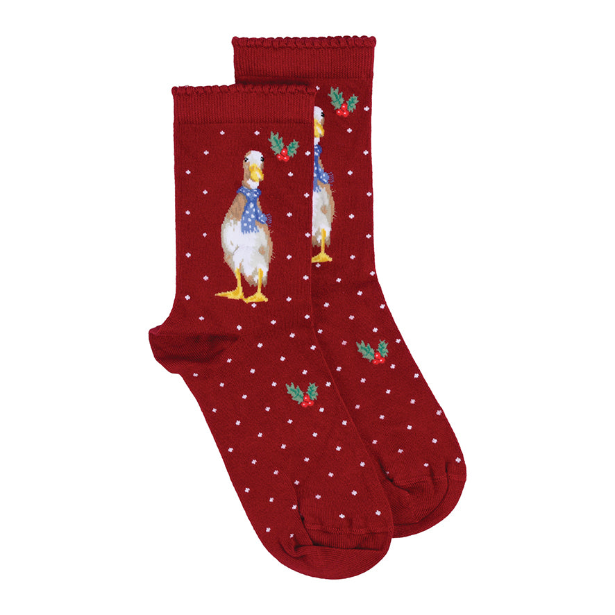 Wrendale Designs Frauensocken Ente "Duck Christmas" Gr. 37-42