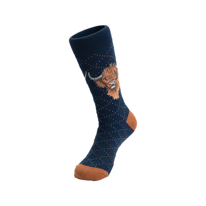 Wrendale Designs Männersocken Hochlandrind "Highland Heathers" Gr. 40-46