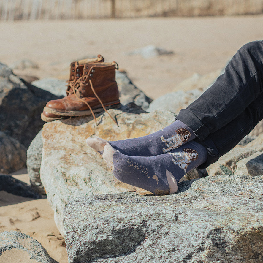 Wrendale Designs Männersocken Spaniel "Willow" Gr. 40-46