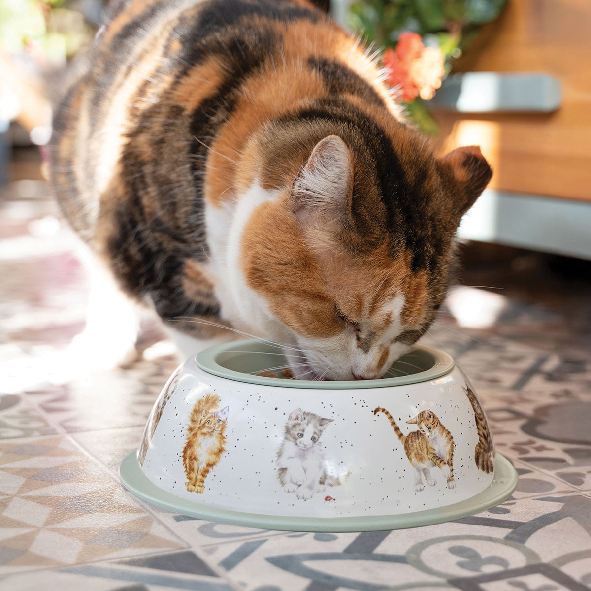 Wrendale Designs Katzennapf