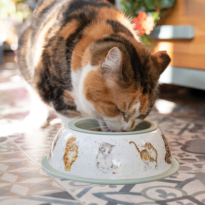 Wrendale Designs Katzennapf