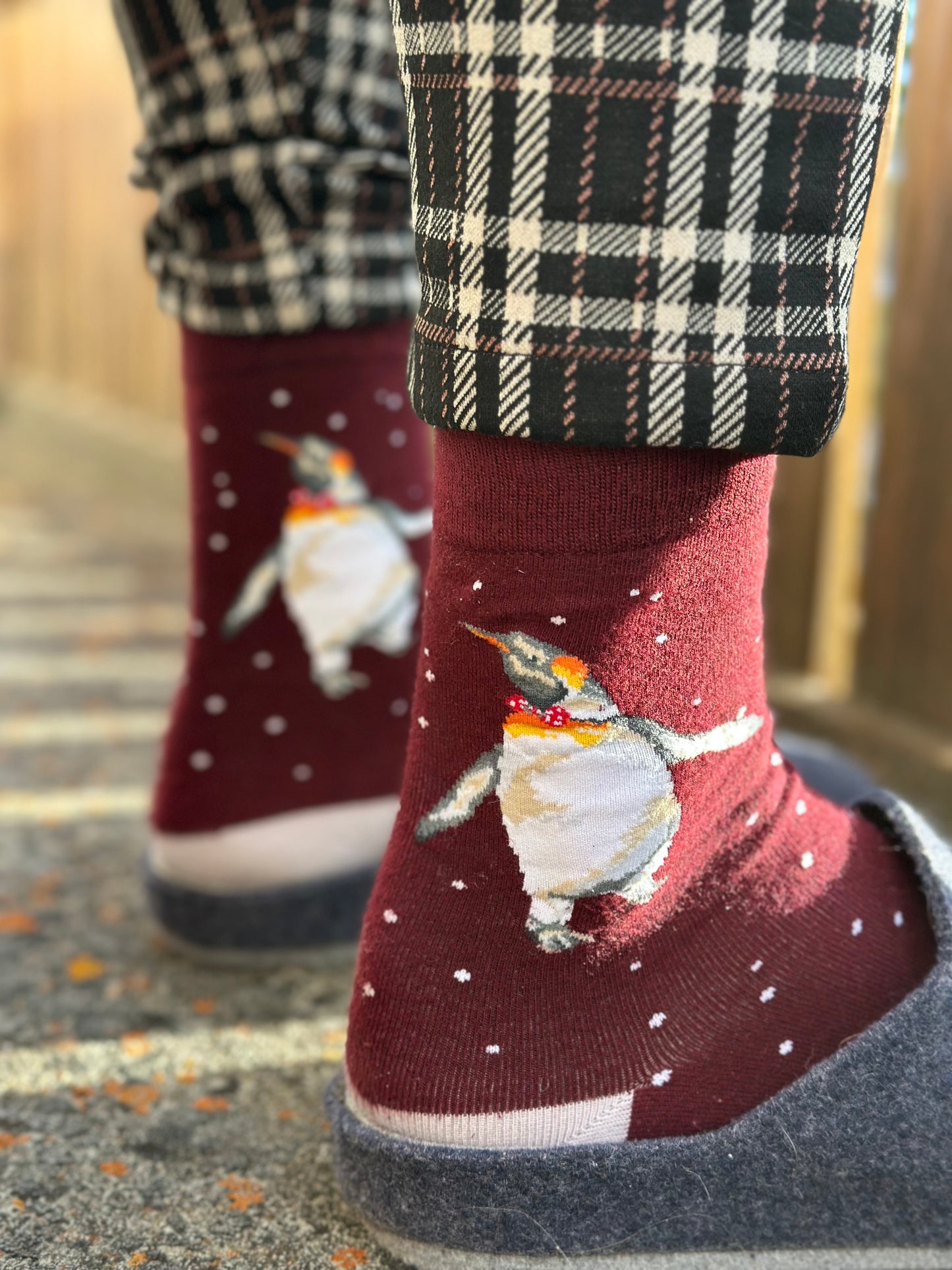Wrendale Designs Männersocken Pinguin "Christmas King" Gr. 40-46