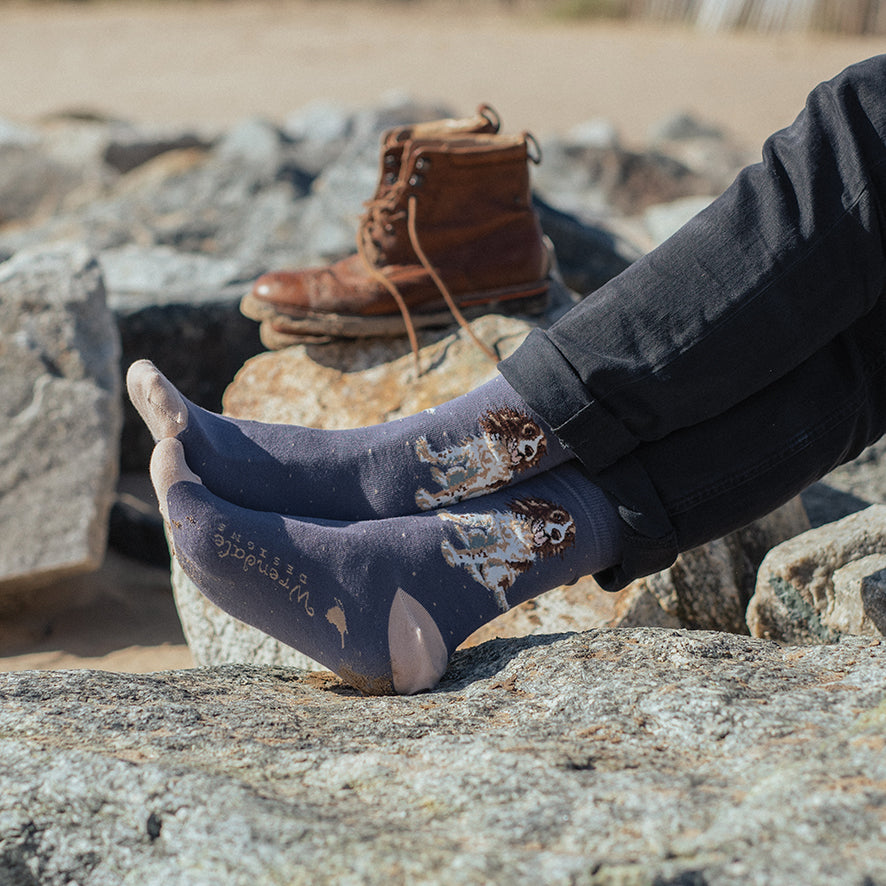 Wrendale Designs Männersocken Spaniel "Willow" Gr. 40-46