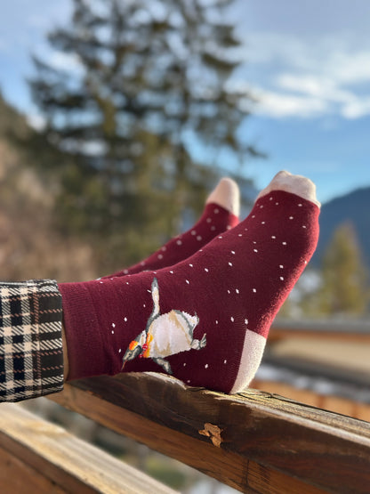 Wrendale Designs Männersocken Pinguin "Christmas King" Gr. 40-46