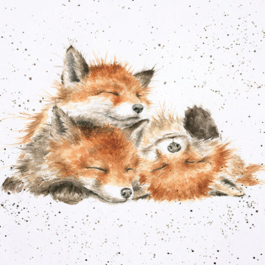 Wrendale Designs Grusskarte Füchse "The Afternoon Nap"