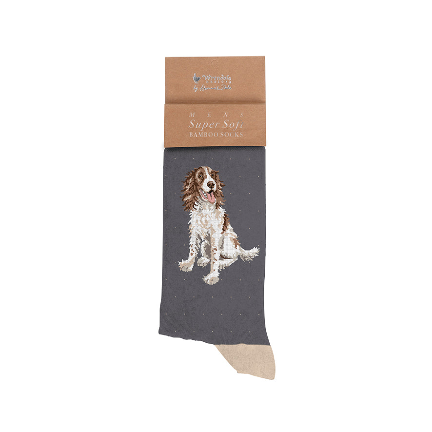 Wrendale Designs Männersocken Spaniel "Willow" Gr. 40-46