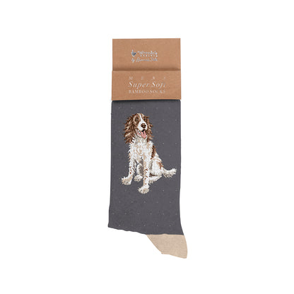 Wrendale Designs Männersocken Spaniel "Willow" Gr. 40-46