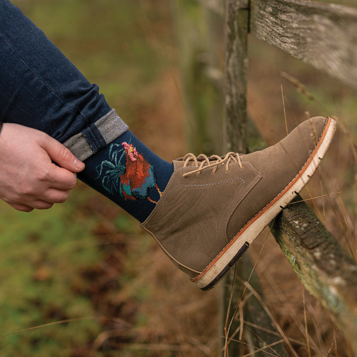 Wrendale Designs Männersocken Hahn "Colours of the Rainbow" Gr. 40-46
