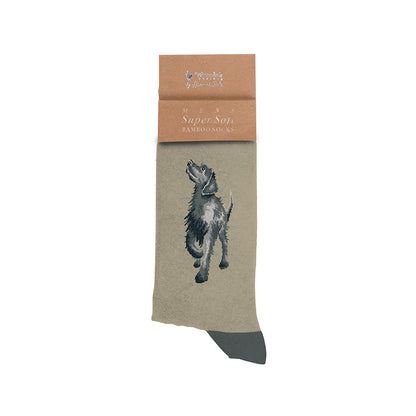 Wrendale Designs Männersocken Labrador "Black Labrador" Gr. 40-46