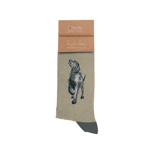 Wrendale Designs Männersocken Labrador "Black Labrador" Gr. 40-46